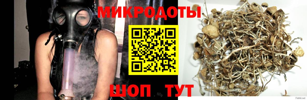 Галлюциногенные грибы MAGIC MUSHROOMS  наркошоп  Вход с VPN  Набережные Челны  Галлюциногенные грибы мицелий 